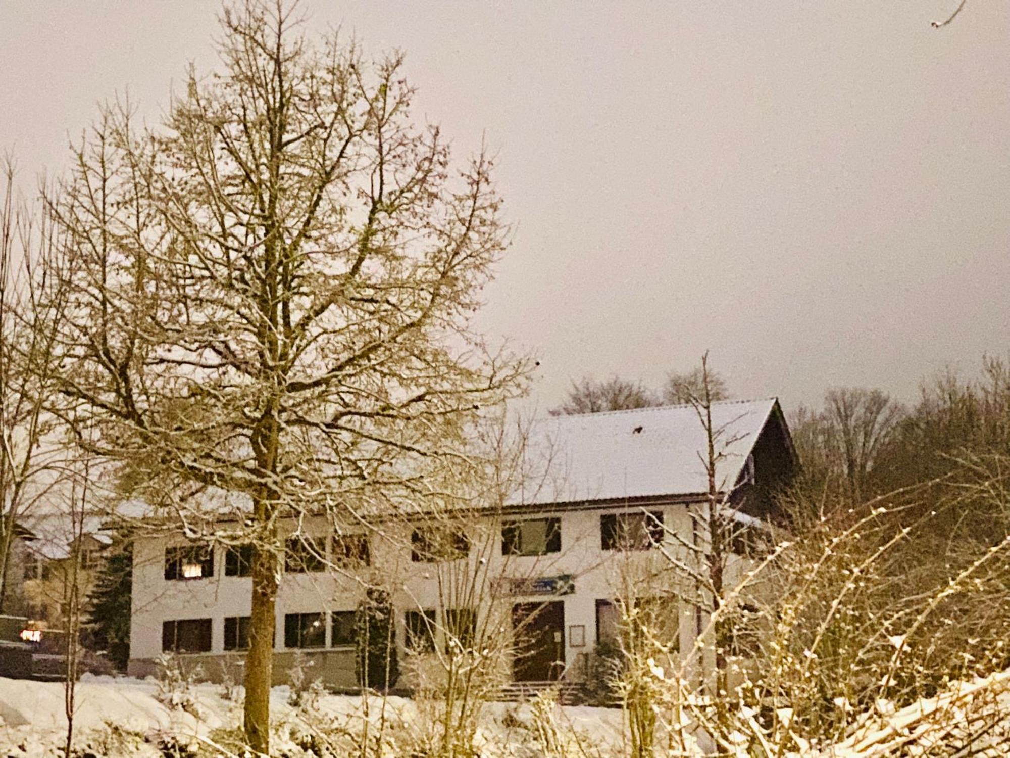 Pension Waldblick Spiegelau Eksteriør bilde